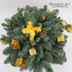 Ель "Дюймовочка в золоте"