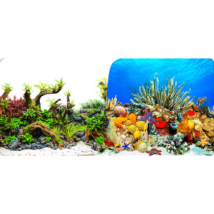 PRIME Фон для аквариума двухсторонний Затопленные коряги/Коралловый риф