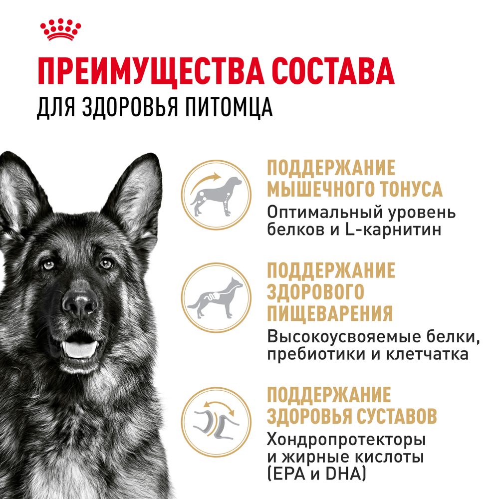 Royal Canin German Shepherd Adult Немецкая овчарка Эдалт Корм сухой для взрослых собак породы Немецкая овчарка 11кг