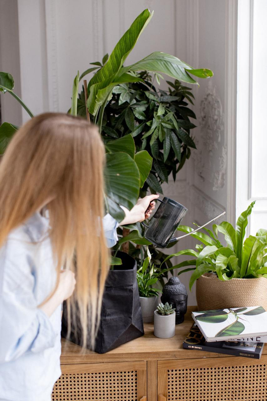 Препарат стимулятор роста виталайзер