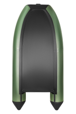 Поход-280T зеленый + PARSUN T 2.6 BMS (комплект лодка + мотор)