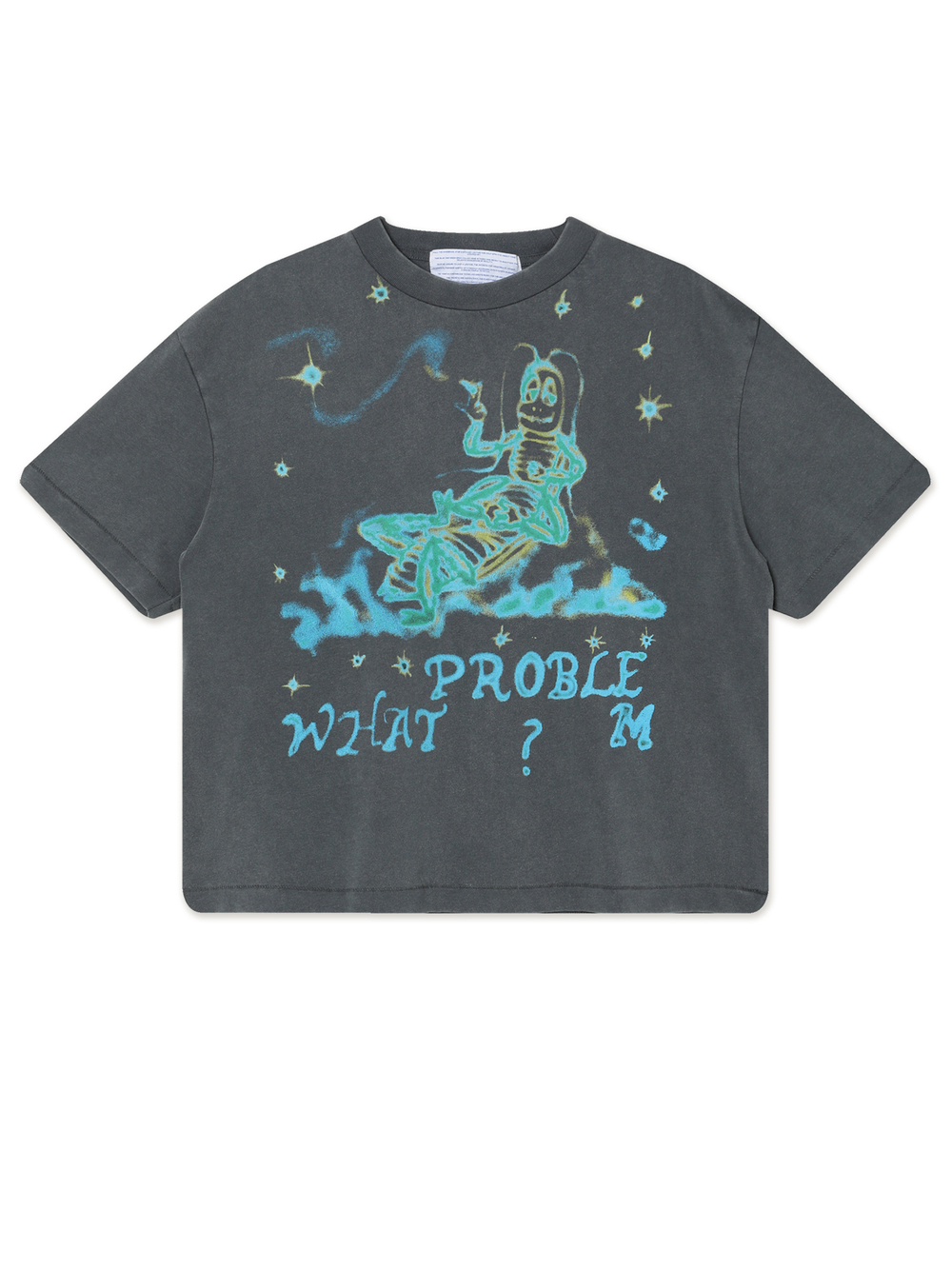 Мужская Футболка What Problem Vintage