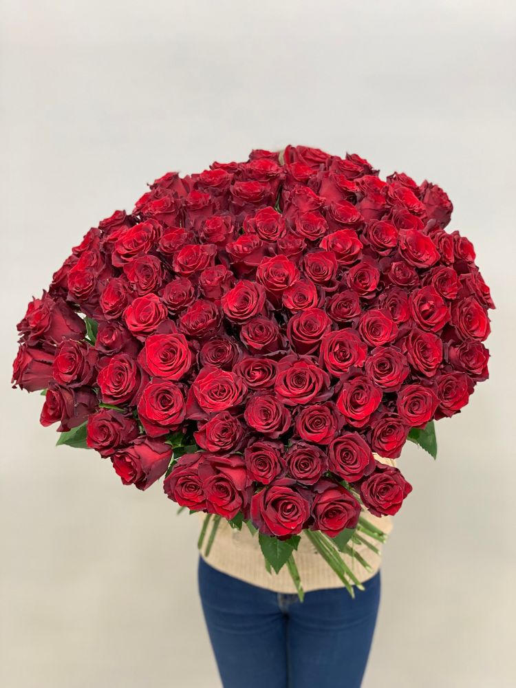 Букет 101 красная роза Эквадор 50см в ленте