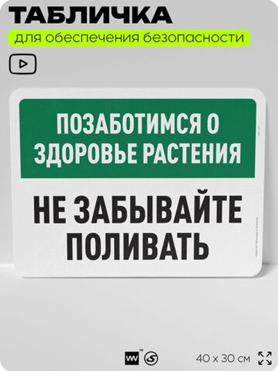 Табличка для обеспечения безопасности "Позаботимся о здоровье растения, не забывайте поливать", для офиса, по охране труда для предприятия, организаций, 40х30 см, Silver Plane x Айдентика Технолоджи
