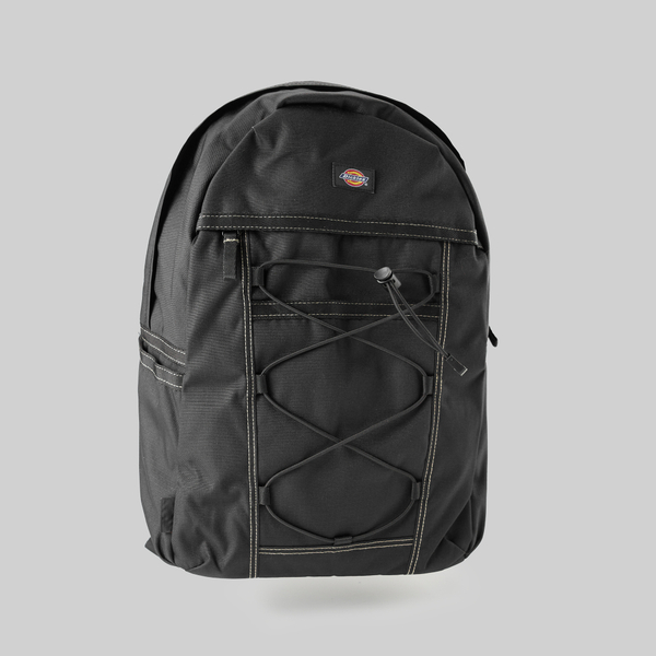Рюкзак Dickies Ashville Backpack артикул:DK0A4Y33BLK1 - купить в магазине Дайс