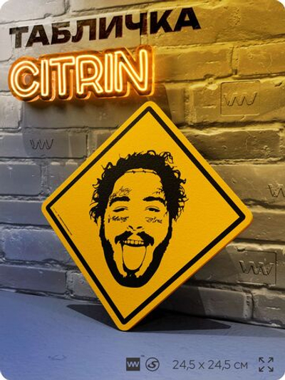 Табличка декоративная "Пост Малон, Post Malone" на дверь и стену, прикольная штука в подарок, декоративный знак, 24,5х24,5 см, пластиковая, Айдентика Технолоджи