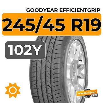 Goodyear EfficientGrip 245/45 R19 102Y XL RunFlat