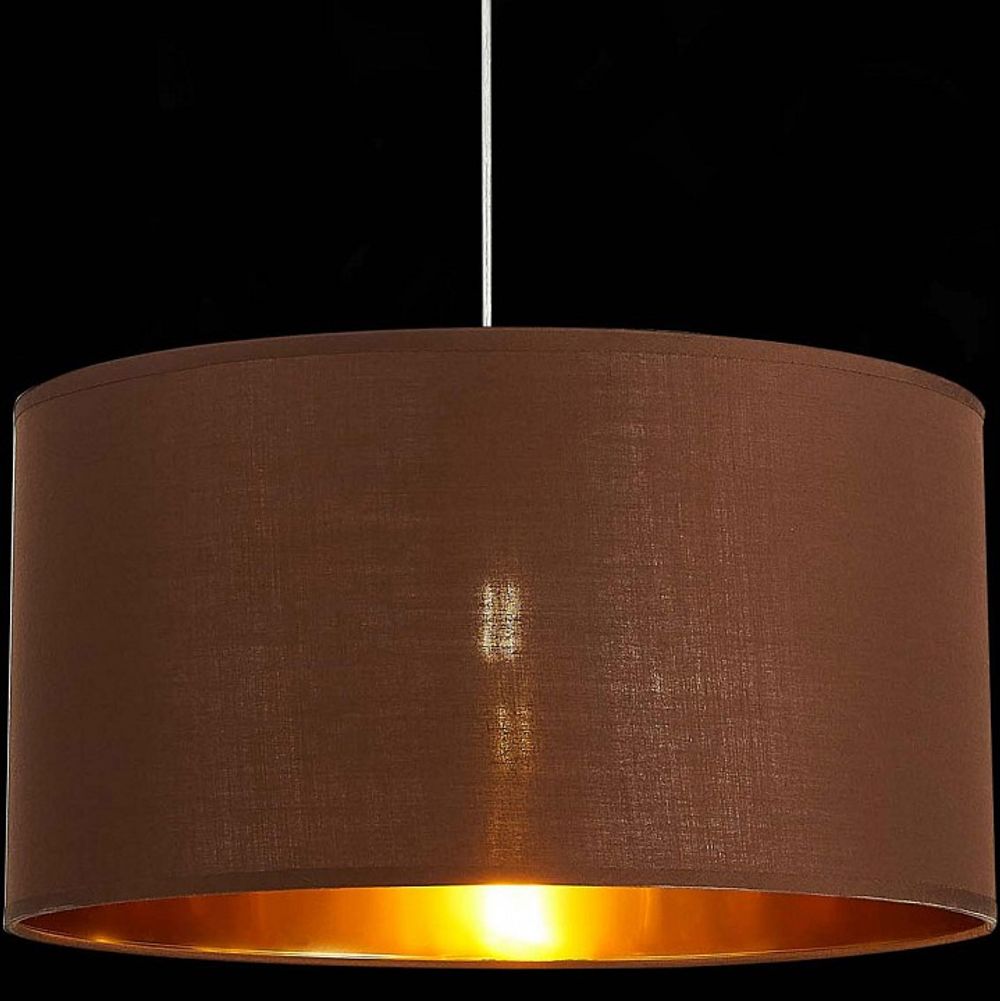 Подвесной светильник EVOLUCE Brescia SLE300573-01