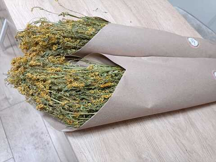 Веник травяной Донник