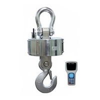 Весы крановые ВСК-10000Н