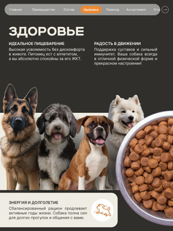 Корм сухой для взрослых собак породы Среднеазиатская овчарка (Алабай), премиум полнорационный комплекс, с индейкой, 12 кг, QUATTRO