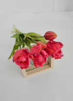 Тюльпаны бахромчатые / Арт 2547