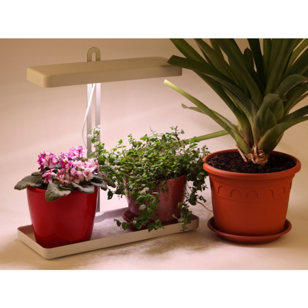 Настольный светильник для растений ЭРА FITO-20W-QLED-W полного спектра 20 Вт белый