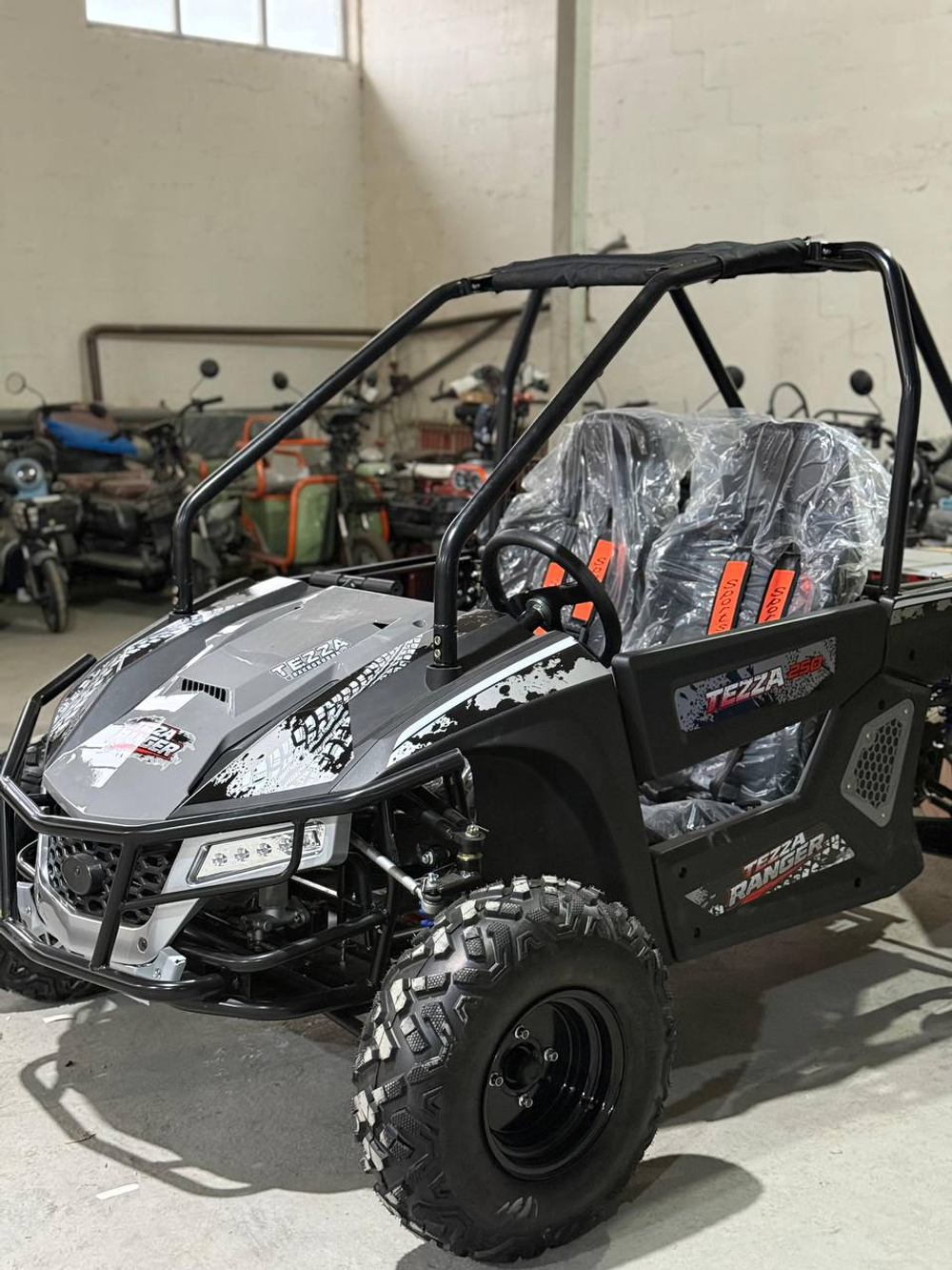 Багги TEZZA Ranger 250cc