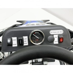 Багги Green Camel Намиб T006 (48V 1000W R6 Цепь) аморт