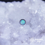 Накрутка IG Opal #06