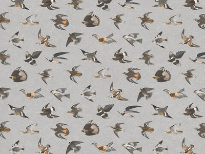 Дизайнерские обои Wall Street Eden-21