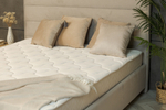 Матрас Askona COMFORT Alternative h≈23см