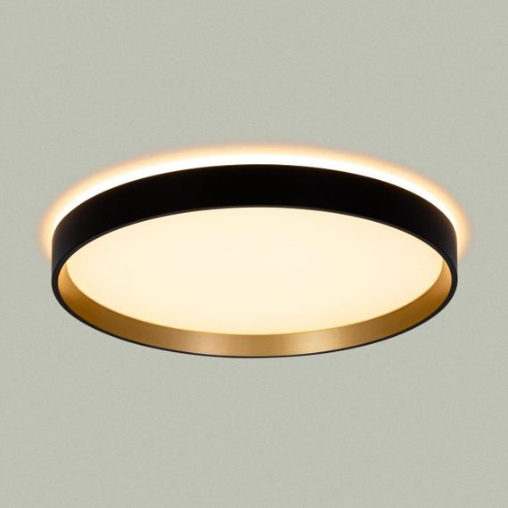 Светильник с пультом Citilux ETALON CL750321R
