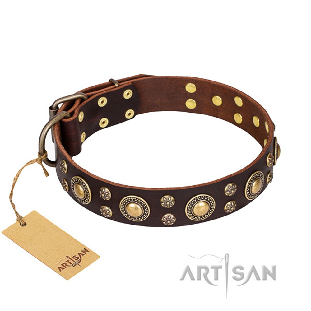 Ошейник коричневый кожаный с украшениями с покрытием бронза, кольцо перед пряжкой ARTISAN &quot;CAPTIVATING&quot; ширина 4см размер 40см С184##brown-brass