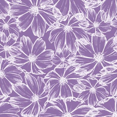 Цветок космея на фиолетовом фоне