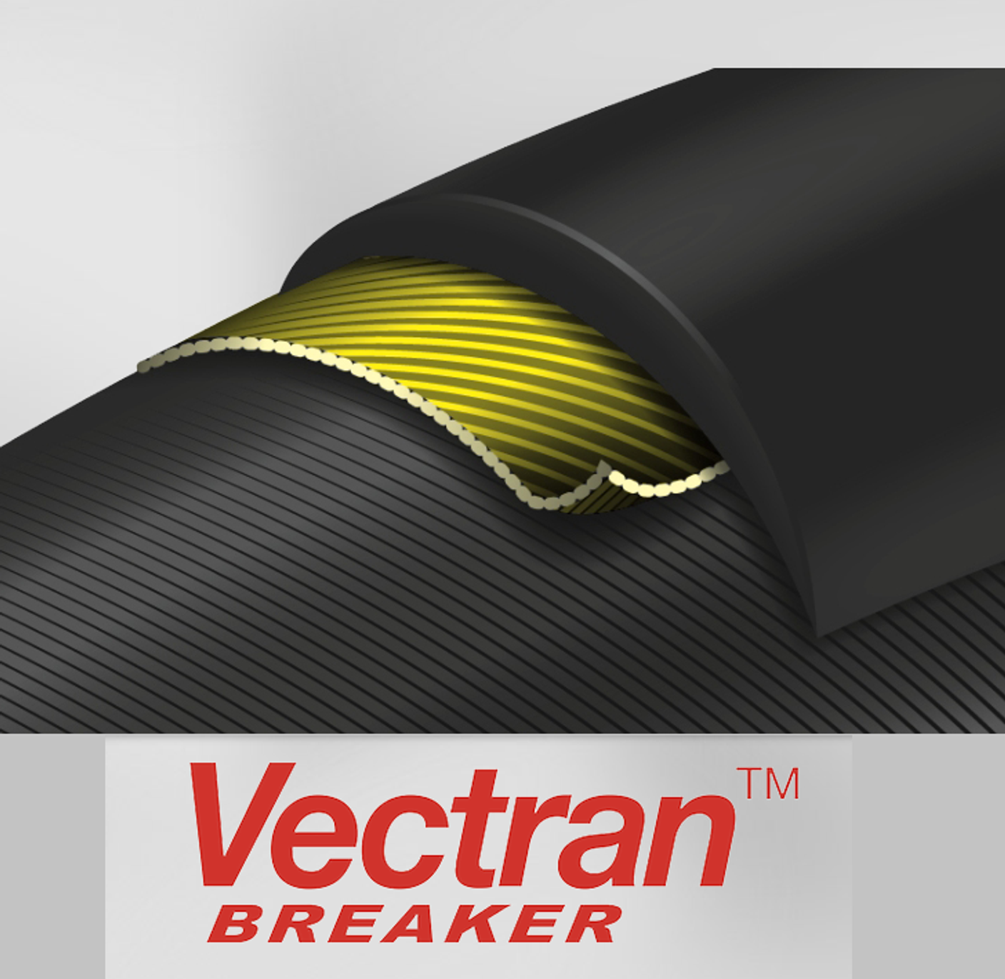 Vectran - эталон защиты от проколов
