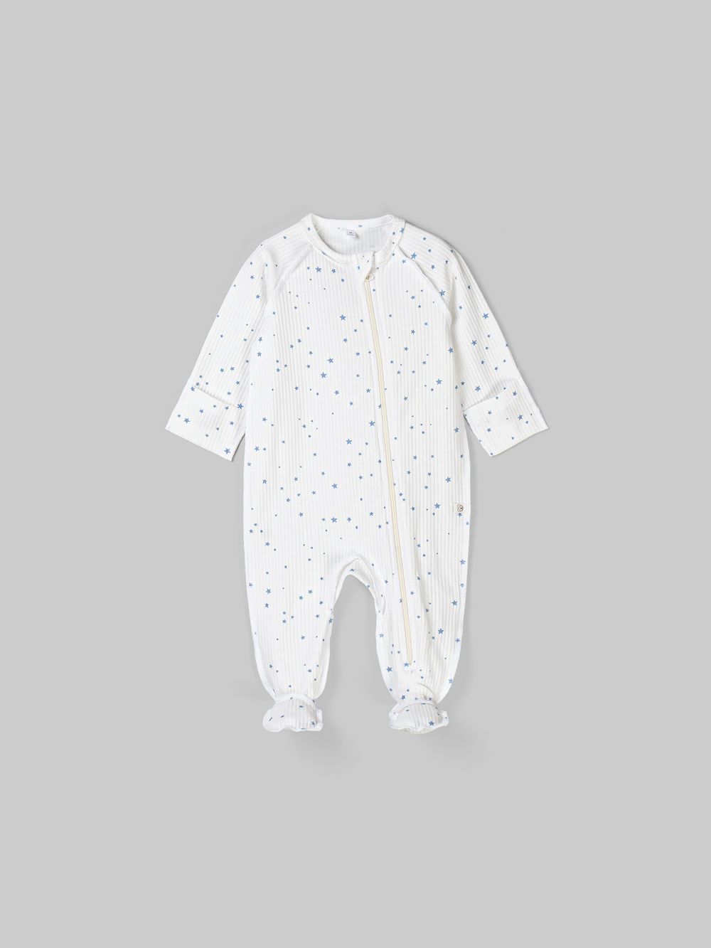 предметное