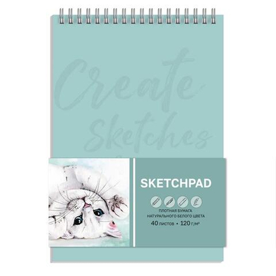 Скетчпад А5+ 40л. белый офсетна гребне "Котёнок" (Феникс+)