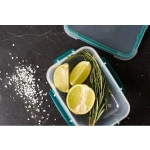 Контейнер для продуктов 0,75л «BUTTERFLY» хвоя