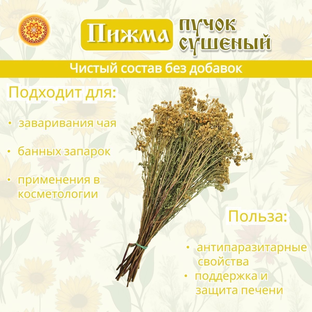 Пижма, пучок (1 шт.)  ПЖПЧ-00-001