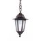 Уличный подвесной светильник Arte Lamp Zagreb A1217SO-1BR