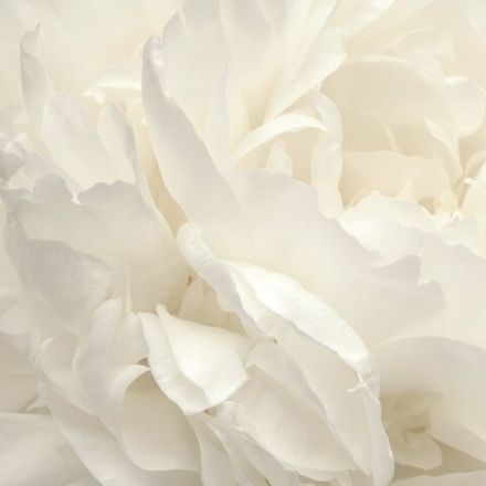 Atmosphere панно