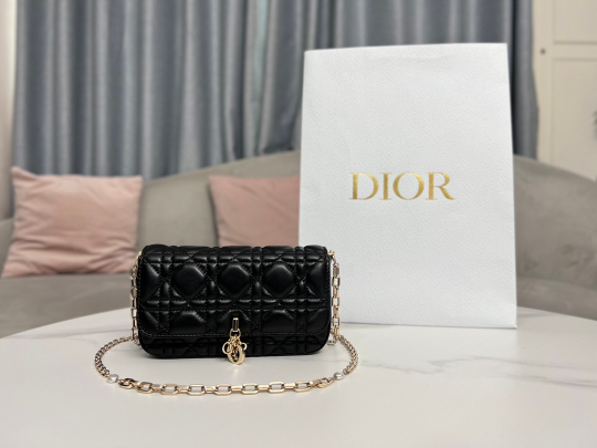 Christian Dior Bag 18 cm