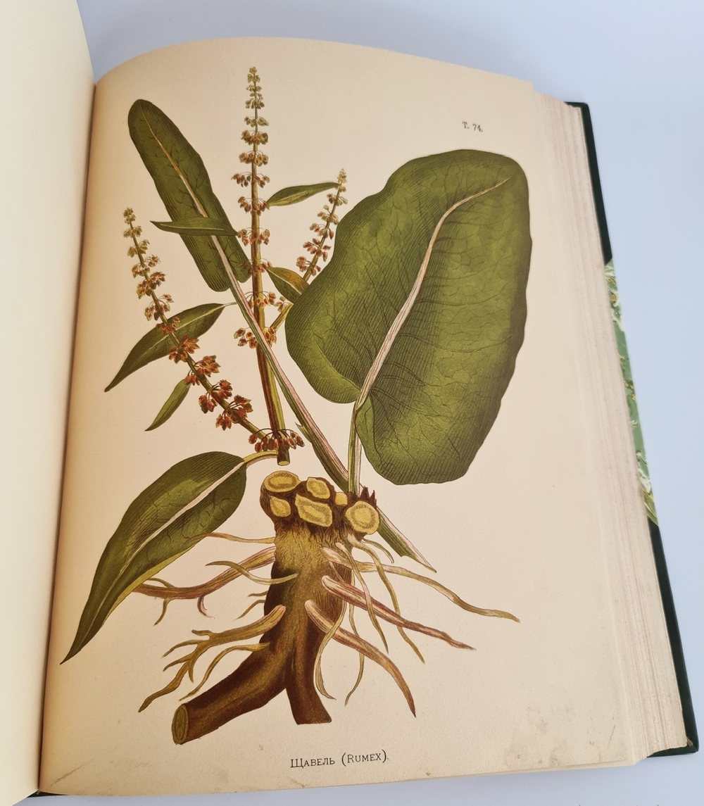 "Иллюстрированная классификация главнейших сортов луговых трав с кратким описанием каждой травы в отдельности". А.Ю.Лашкарев. 1898г. - редкая книга
