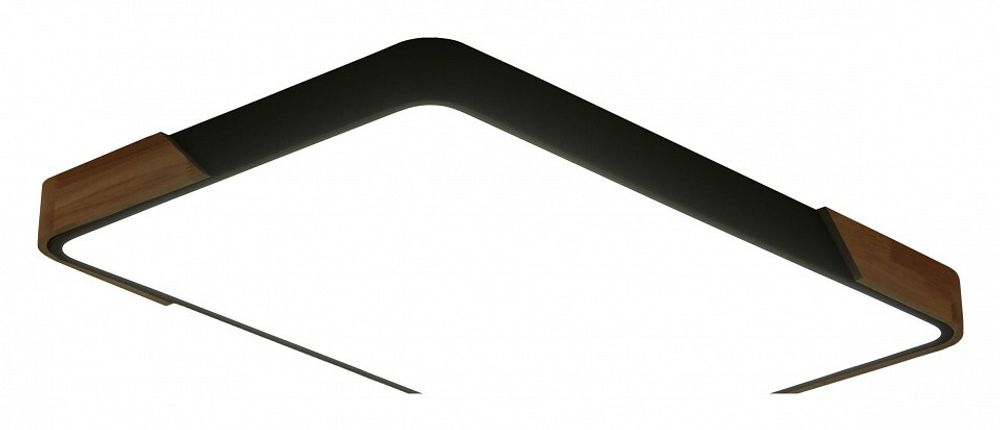 Накладной светильник Zortes Alberro ZRS.01244.60