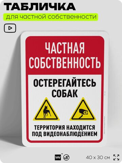 Табличка для частной территории "Частная собственность, остерегайтесь собак", на дом, для участка, организаций, предупреждающая, 40х30 см, Silver Plane x Айдентика Технолоджи