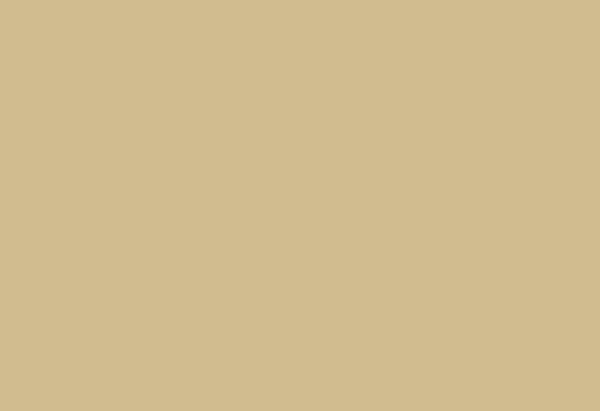 HPL-панель 1300х3050 LM 0051 Кремовый (КМ4)
