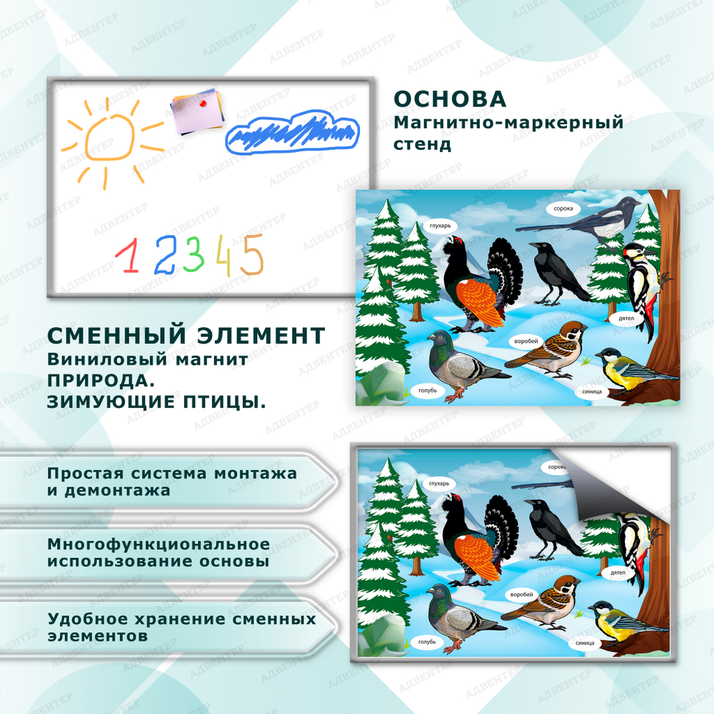 Комплект развивающий Природа: Зимующие птицы 2176