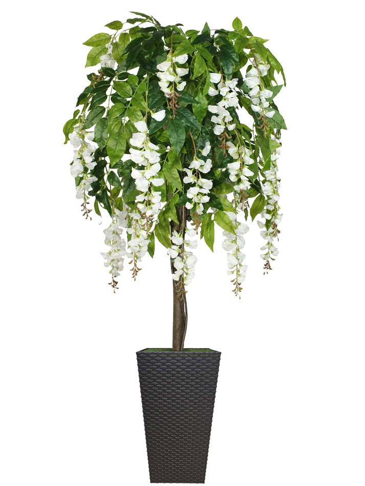 Искусственное дерево Акация белая 180см в высоком коричневом кашпо ротанг
