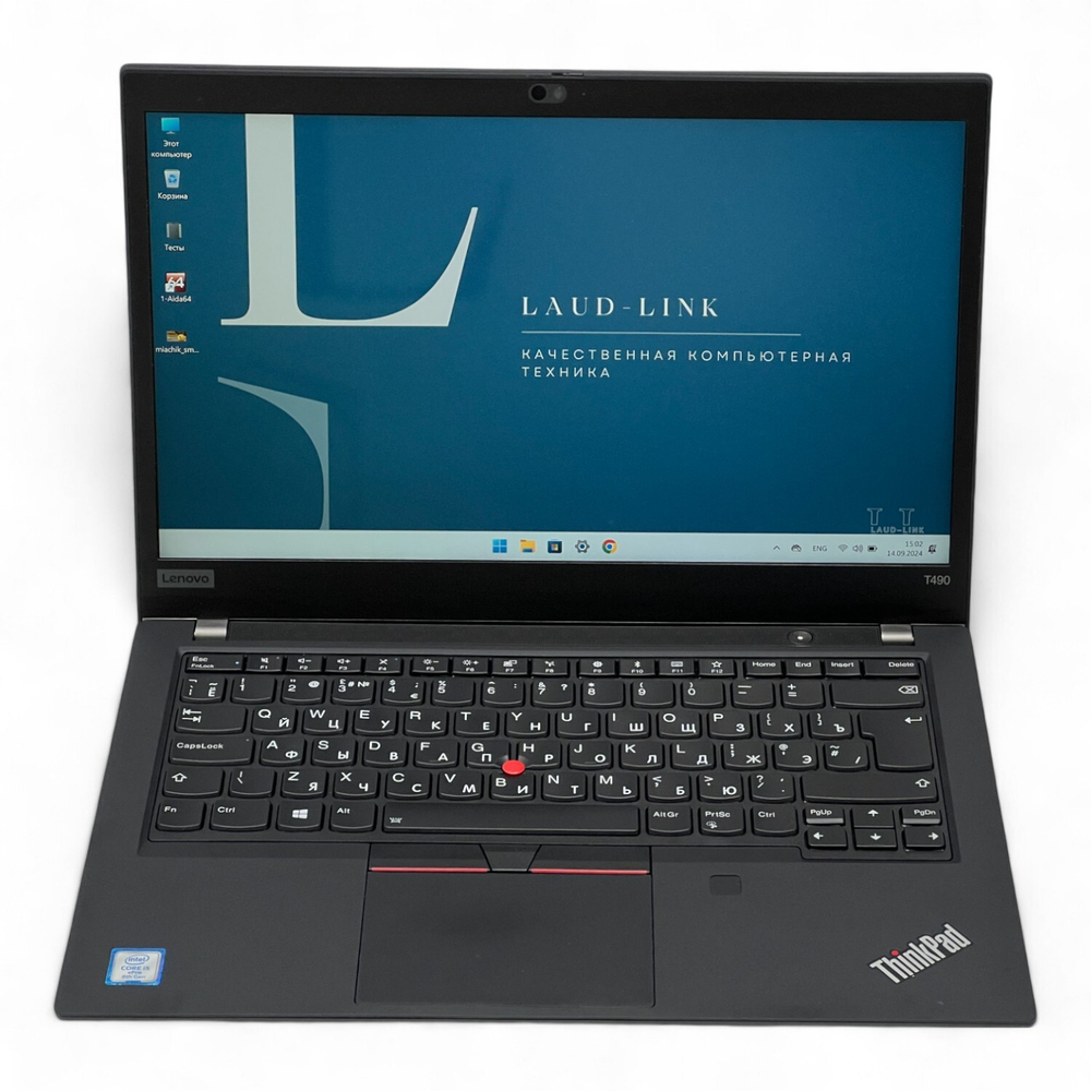 ThinkPad T490