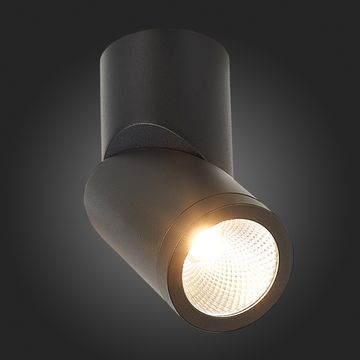 ST650.432.10 Светильник потолочный Черный LED 1*10W 3000K 800Lm Ra>90 38° IP44 D62xH151 165-265V Накладные светильники