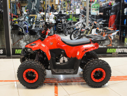YACOTA RAPOSA 110 (красный)