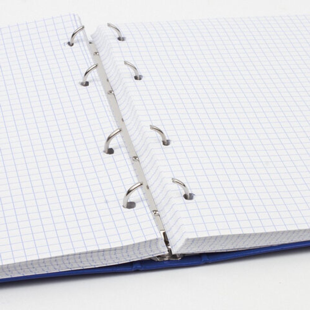 Тетрадь на кольцах А5 (175х215 мм), 160 л., обложка ламинированный картон, клетка, BRAUBERG, "INDAY", 400955