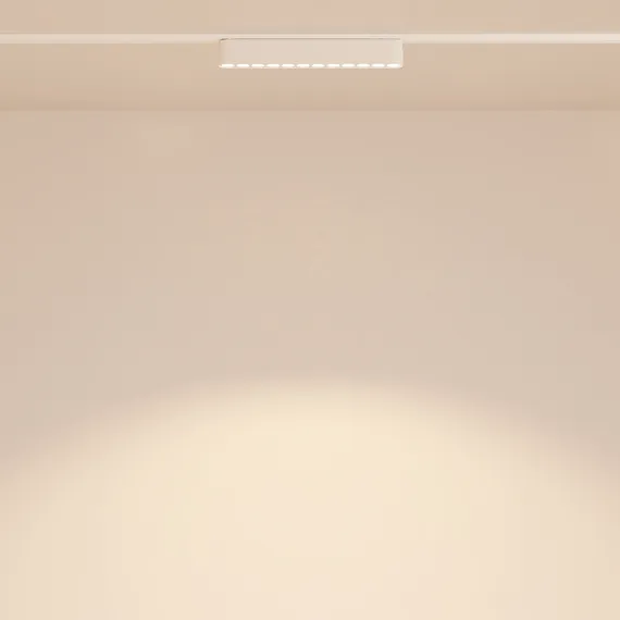 Трековый светильник Точки / Points Radity 3000K 12Вт 36° Technical tr082-1-12w3k-m-w
