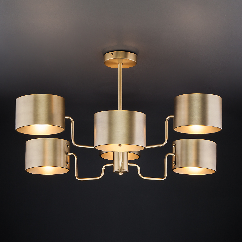 Потолочная люстра 293/6