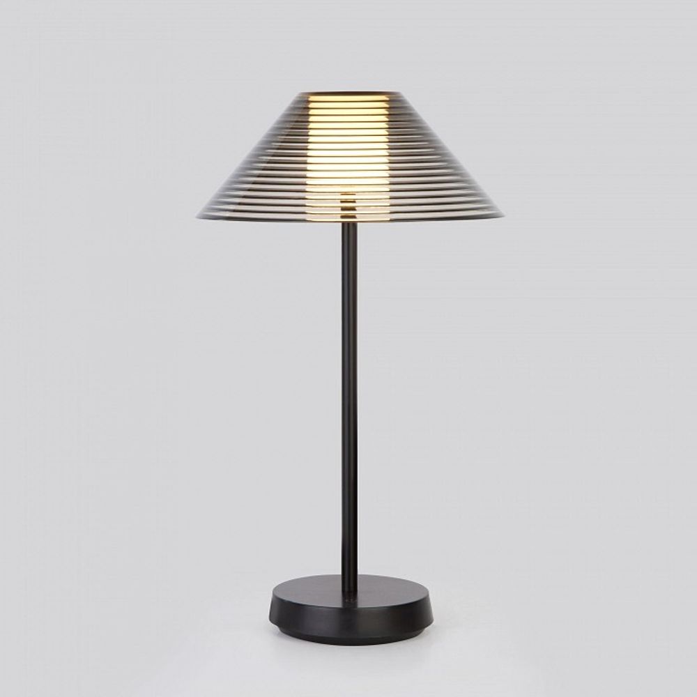 Настольная лампа декоративная Elektrostandard Mistery a062381