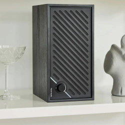 Радиоприемник Tivoli Model Two Digital Walnut/Gold