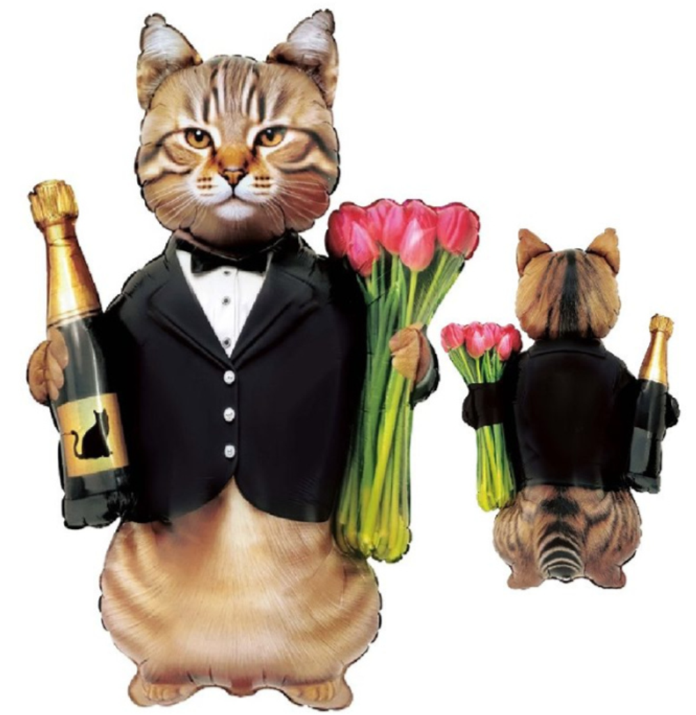 Кот с тюльпанами и шампанским