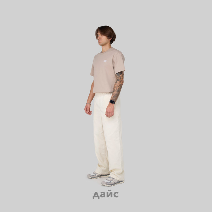 Брюки мужские Dickies Chase City Pant артикул:DK0A4YSAF901 - купить в магазине Дайс