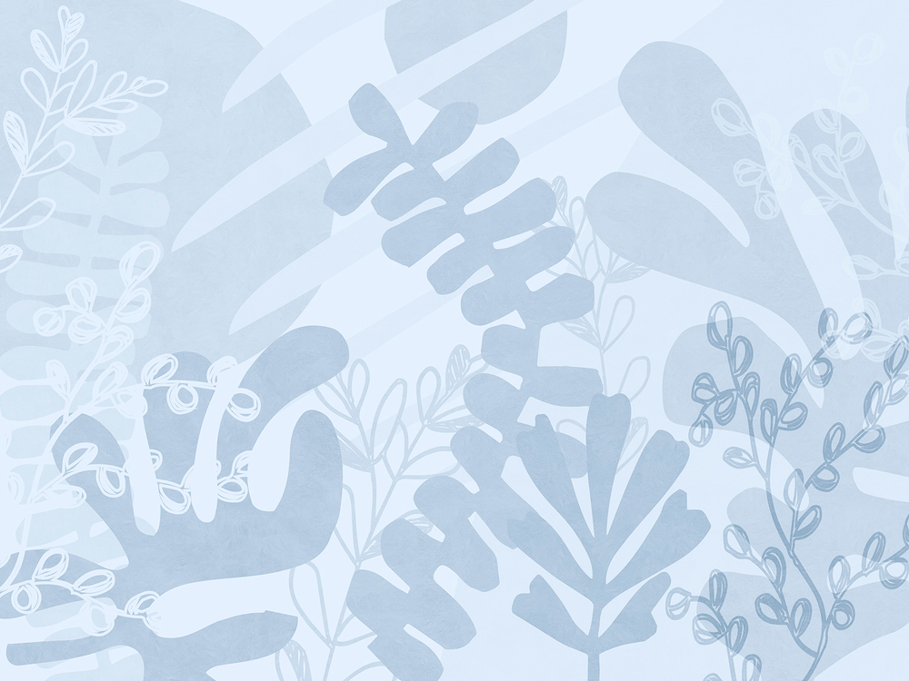 Коллекция MATISSE